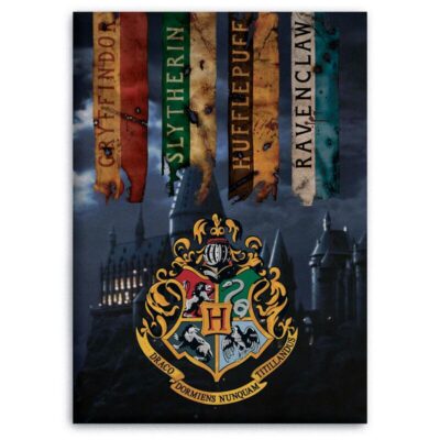 COPERTA PILE "HARRY POTTER"