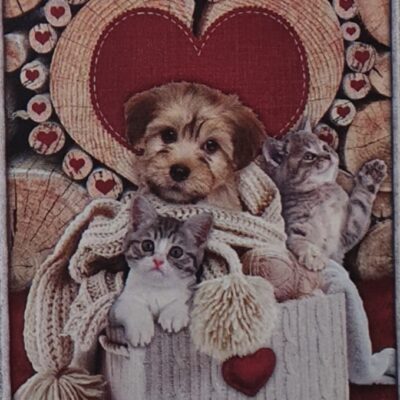PLAID DIGITALE SHERPA 
"DOGGY & CAT"