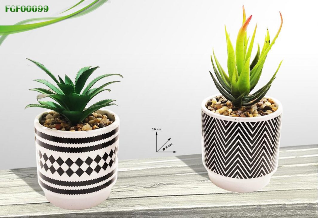 VASO CON PIANTA