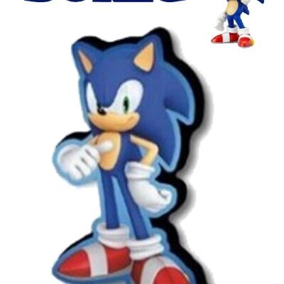 *SONIC* Cuscino Sagomato 3D