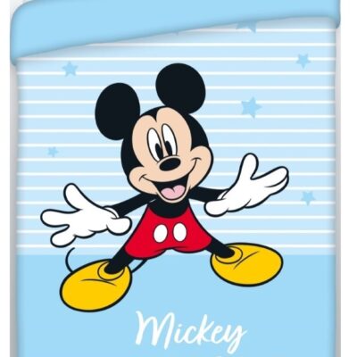 TRAPUNTA-PIUMONE INVERNALE per LETTO SINGOLO ( 1 Piazza ) "MICKEY"