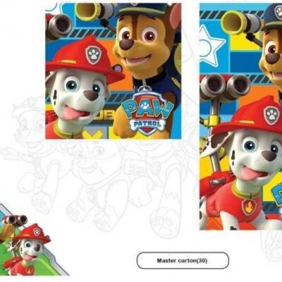 SET ASCIUGAMANI 1+1 " PAW PATROL"