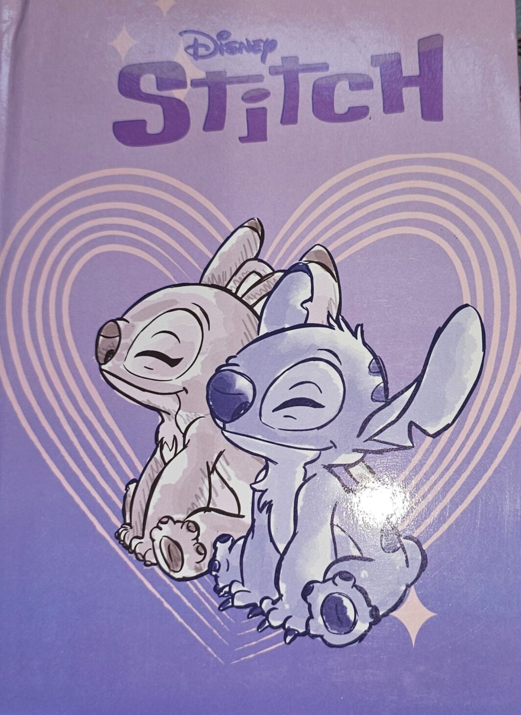 DIARIO STD STITCH VIOLA CHIARO
NON DATATO