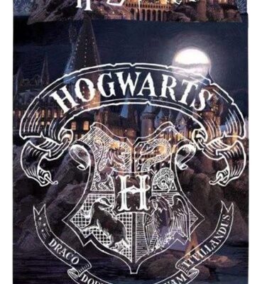 COMPLETO LETTO 1P HARRY POTTER