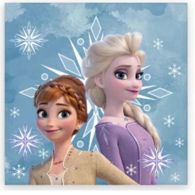 FROZEN ASCIUGAMANO