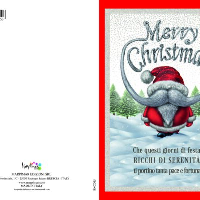 BIGLIETTO  BUON NATALE C/FOIL ARGENTO
