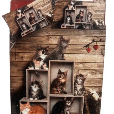 PARURE COPRIPIUMINO 2P SOGNI D'ORO CON GATTI