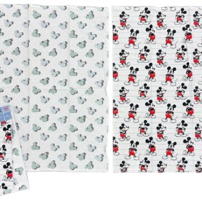 SET 2 PEZZI STROFINACCI MICKEY MOUSE