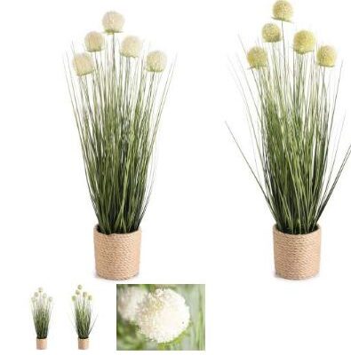 Pianta ornamentale con fiori in vaso in corda