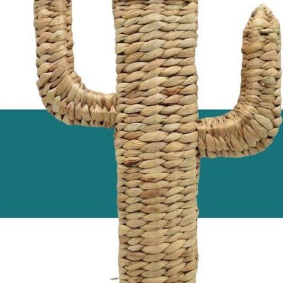 CACTUS DECORAZIONE 
COLORI NATURALI