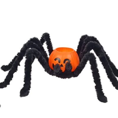 RAGNO CON CONTENITORE ZUCCAC PLASTICA