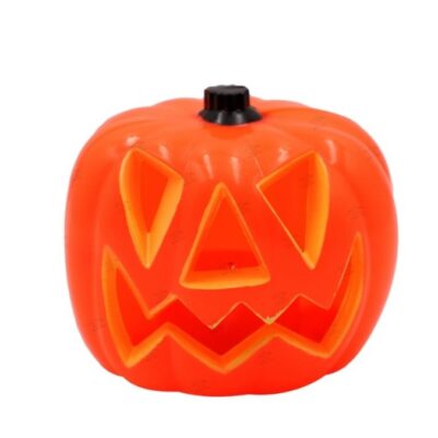 ZUCCA HALLOWWEN CON LUCI